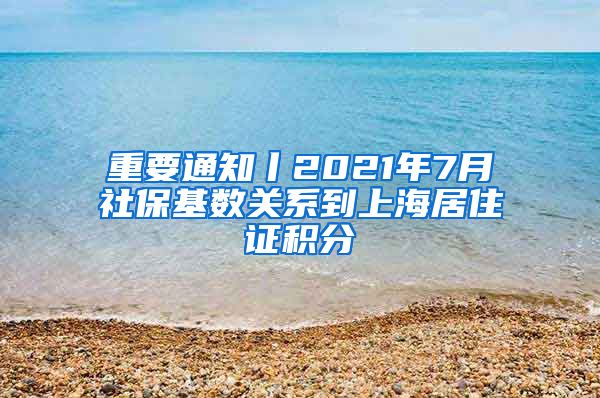 重要通知丨2021年7月社保基数关系到上海居住证积分