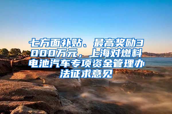 七方面补贴、最高奖励3000万元，上海对燃料电池汽车专项资金管理办法征求意见