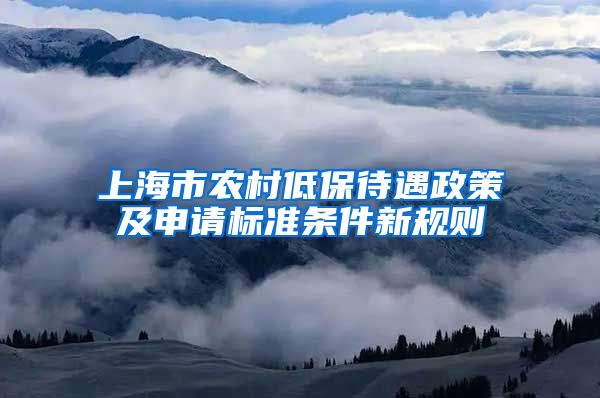 上海市农村低保待遇政策及申请标准条件新规则