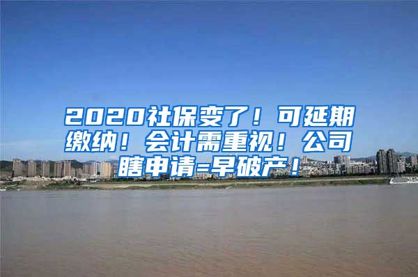 2020社保变了！可延期缴纳！会计需重视！公司瞎申请=早破产！