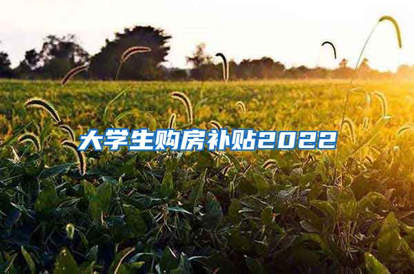 大学生购房补贴2022