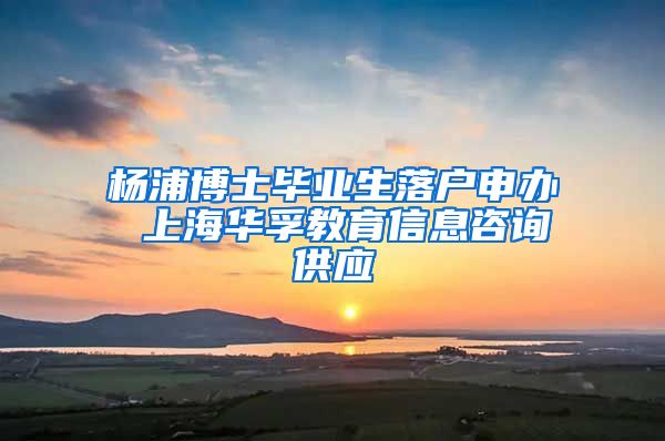 杨浦博士毕业生落户申办 上海华孚教育信息咨询供应