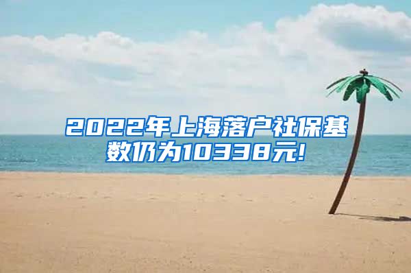 2022年上海落户社保基数仍为10338元!