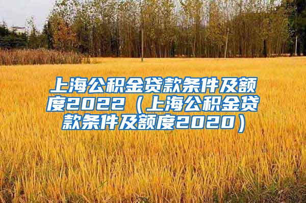 上海公积金贷款条件及额度2022（上海公积金贷款条件及额度2020）