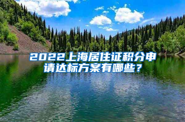 2022上海居住证积分申请达标方案有哪些？