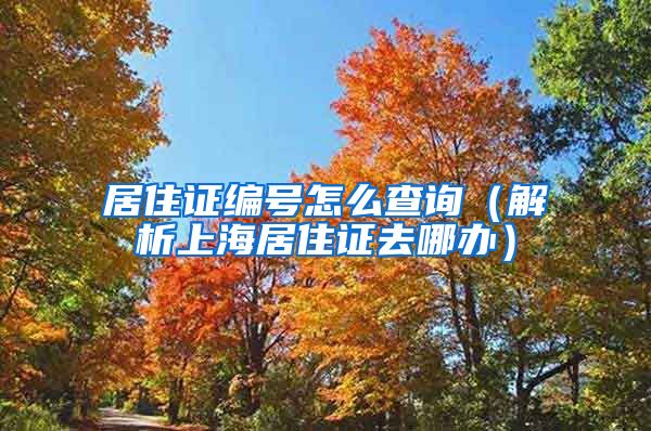 居住证编号怎么查询（解析上海居住证去哪办）