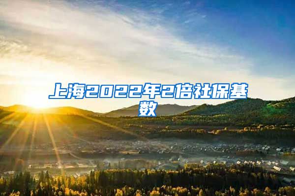 上海2022年2倍社保基数