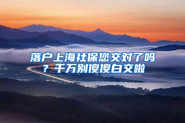 落户上海社保您交对了吗？千万别傻傻白交啦