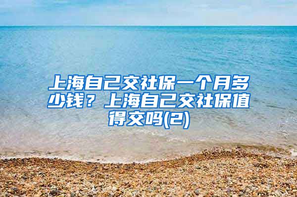 上海自己交社保一个月多少钱？上海自己交社保值得交吗(2)