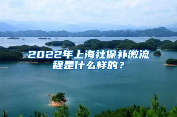 2022年上海社保补缴流程是什么样的？