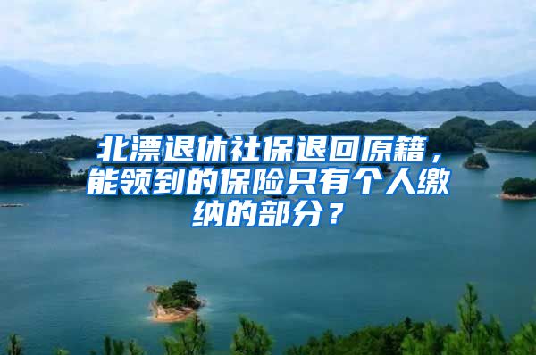 北漂退休社保退回原籍，能领到的保险只有个人缴纳的部分？