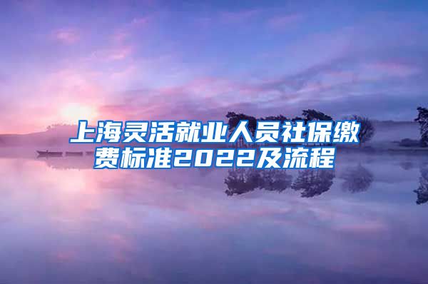 上海灵活就业人员社保缴费标准2022及流程