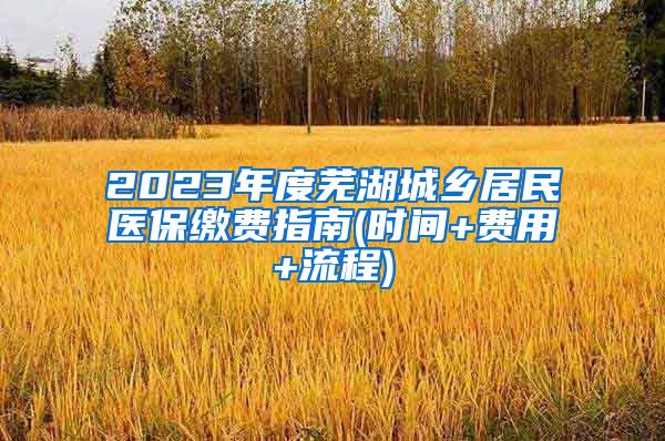 2023年度芜湖城乡居民医保缴费指南(时间+费用+流程)