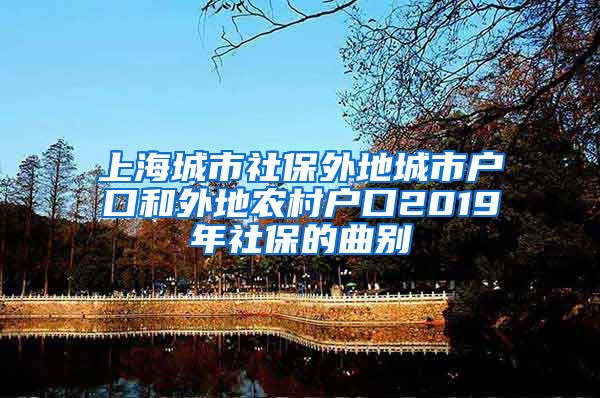 上海城市社保外地城市户口和外地农村户口2019年社保的曲别