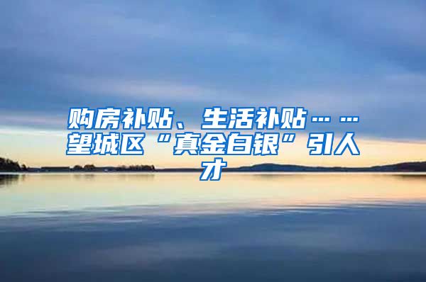 购房补贴、生活补贴……望城区“真金白银”引人才