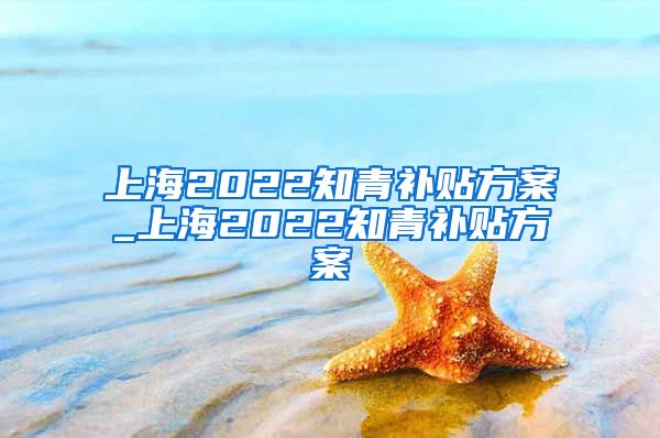 上海2022知青补贴方案_上海2022知青补贴方案