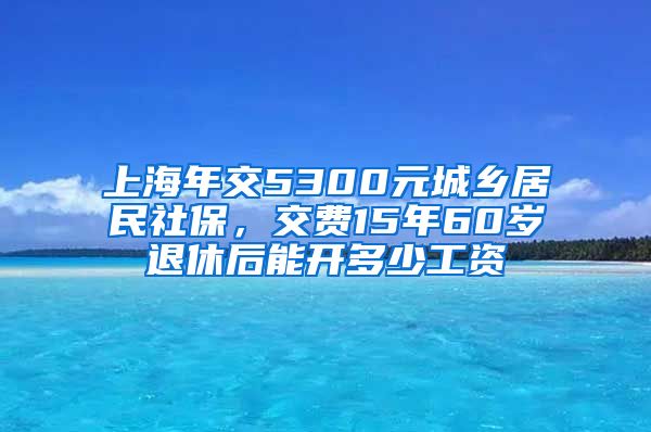 上海年交5300元城乡居民社保，交费15年60岁退休后能开多少工资