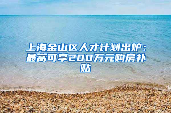 上海金山区人才计划出炉：最高可享200万元购房补贴