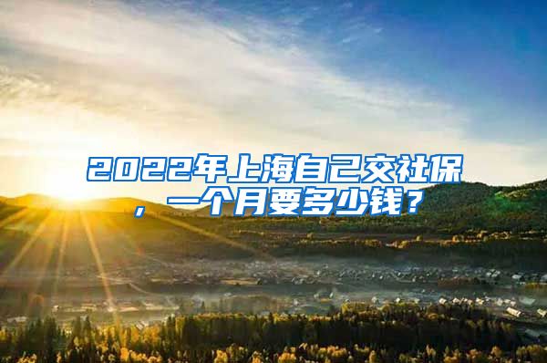 2022年上海自己交社保，一个月要多少钱？