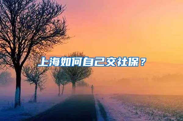 上海如何自己交社保？