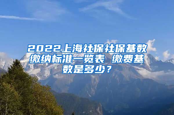 2022上海社保社保基数缴纳标准一览表 缴费基数是多少？