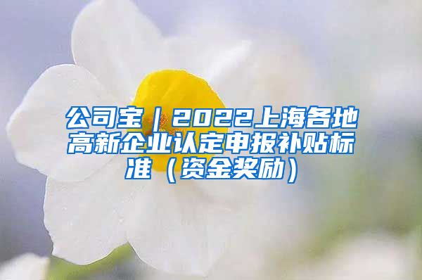 公司宝｜2022上海各地高新企业认定申报补贴标准（资金奖励）