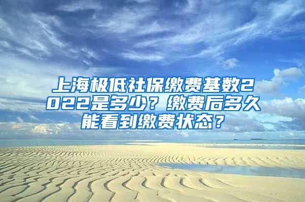 上海极低社保缴费基数2022是多少？缴费后多久能看到缴费状态？