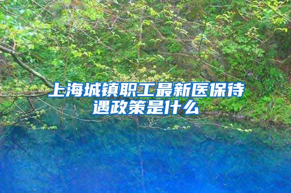 上海城镇职工最新医保待遇政策是什么