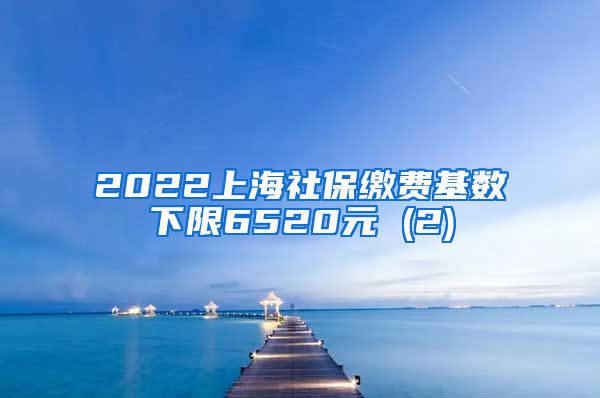 2022上海社保缴费基数下限6520元 (2)