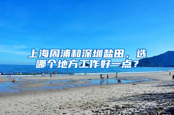 上海周浦和深圳盐田，选哪个地方工作好一点？