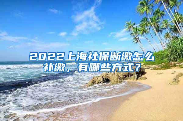 2022上海社保断缴怎么补缴，有哪些方式？