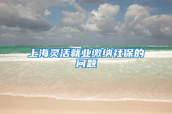 上海灵活就业缴纳社保的问题