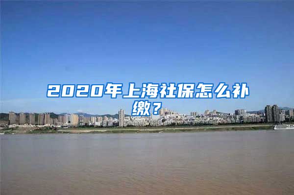 2020年上海社保怎么补缴？