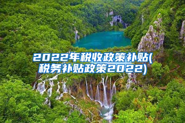 2022年税收政策补贴(税务补贴政策2022)