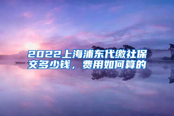 2022上海浦东代缴社保交多少钱，费用如何算的