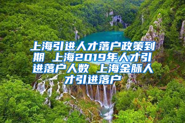 上海引进人才落户政策到期 上海2019年人才引进落户人数 上海金脉人才引进落户