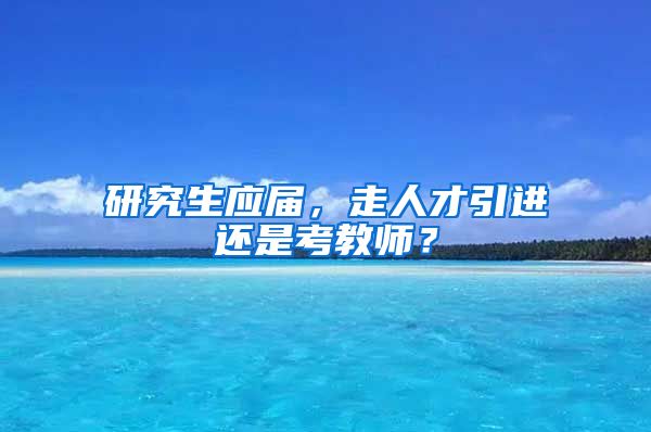 研究生应届，走人才引进还是考教师？