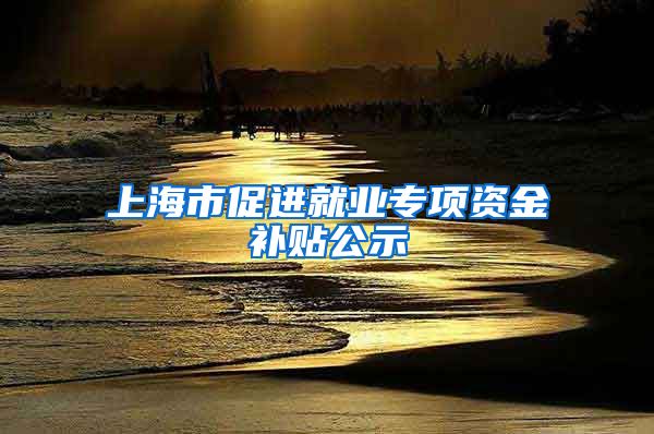 上海市促进就业专项资金补贴公示