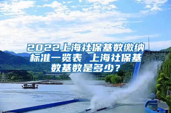 2022上海社保基数缴纳标准一览表 上海社保基数基数是多少？