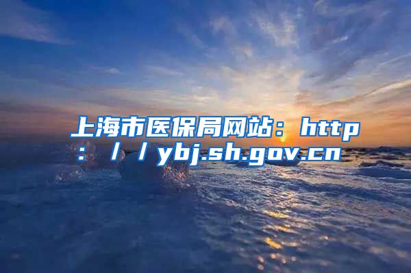 上海市医保局网站：http：／／ybj.sh.gov.cn