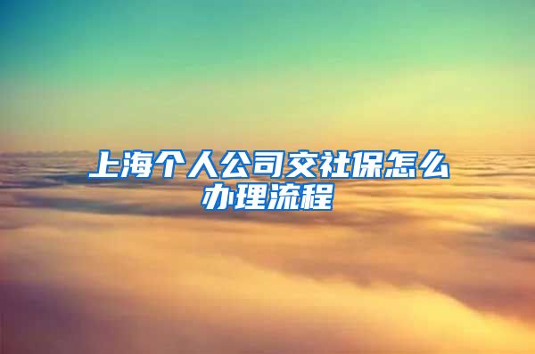 上海个人公司交社保怎么办理流程