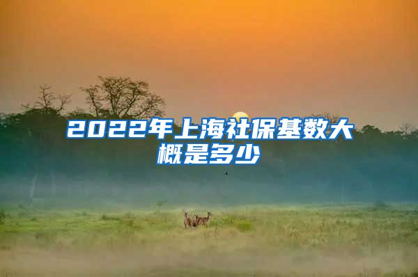 2022年上海社保基数大概是多少