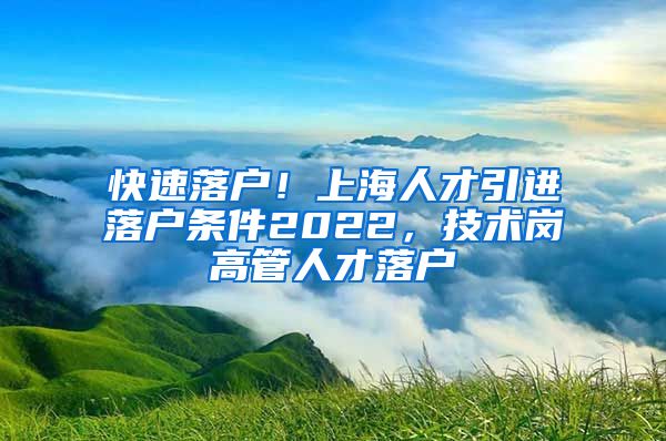 快速落户！上海人才引进落户条件2022，技术岗高管人才落户