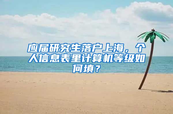 应届研究生落户上海，个人信息表里计算机等级如何填？