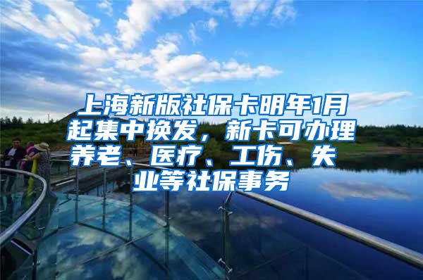 上海新版社保卡明年1月起集中换发，新卡可办理养老、医疗、工伤、失 业等社保事务