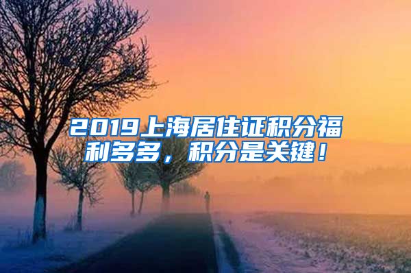 2019上海居住证积分福利多多，积分是关键！