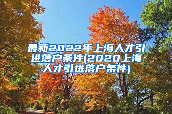 最新2022年上海人才引进落户条件(2020上海人才引进落户条件)