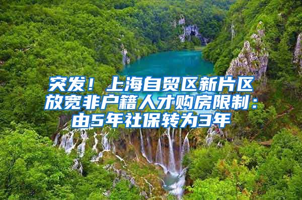 突发！上海自贸区新片区放宽非户籍人才购房限制：由5年社保转为3年