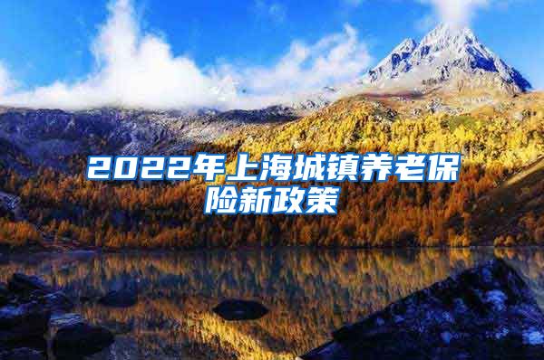 2022年上海城镇养老保险新政策
