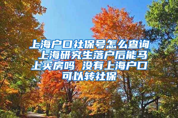 上海户口社保号怎么查询 上海研究生落户后能马上买房吗 没有上海户口可以转社保